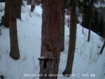 vid-20240209-wa0007-be-0-