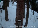 vid-20240209-wa0008-be-0-