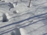 vid-20240304-wa0000-00000