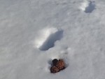 vid-20240304-wa0000-00005