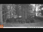vid-20240427-wa0003-00013