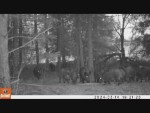 vid-20240427-wa0003-00071