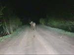 vid-20240427-wa0004-00000