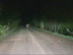 vid-20240427-wa0004-00010