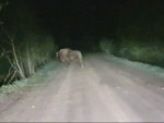 vid-20240427-wa0004-0