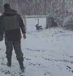 vid-20250202-wa0003-2