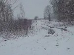 vid-20250202-wa0003-3