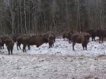 vid-20250213-wa0001-00054