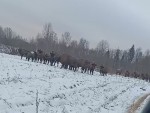 vid-20250213-wa0002-00000