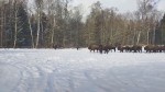 vid-20250215-wa0006-00000