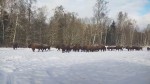 vid-20250215-wa0006-0