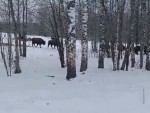 vid-20250220-wa0001-00010