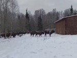 vid-20250220-wa0001-0