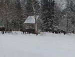 vid-20250220-wa0002-0