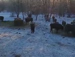 vid-20250224-wa0001-0
