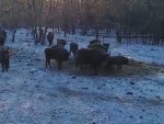 vid-20250224-wa0001-1