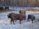 vid-20250224-wa0001-2