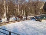 vid-20250224-wa0001-4