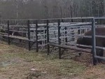 vid-20250306-wa0001-00079