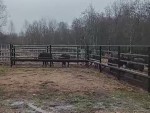 vid-20250306-wa0001-00093