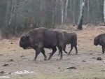 vid-20250306-wa0002-00164