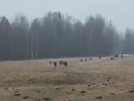 vid-20250306-wa0002-00186