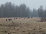 vid-20250306-wa0002-00228