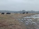 vid-20250306-wa0003-00000