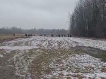vid-20250306-wa0003-00103