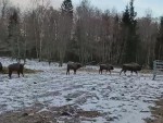 vid-20250318-wa0007-1