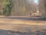 vid-20250331-wa0001-00026