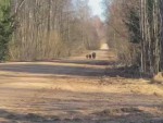 vid-20250331-wa0001-0