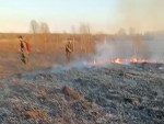 vid-20250402-wa0021-0