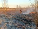 vid-20250402-wa0021-mp4_s