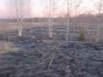 vid-20250403-wa0000-1