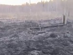 vid-20250403-wa0000-mp4_s
