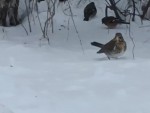 vid-20250407-wa0008-0