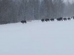 vid-20250410-wa0003-mp4_s