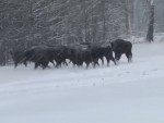 vid-20250410-wa0004-0