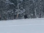 vid-20250410-wa0004-1