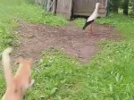 vid-20250608-wa0001-00004
