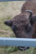 vid-20251006-wa0002-0