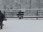 vid-20251124-wa0002-00000