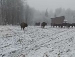 vid-20251124-wa0003-00000