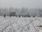 vid-20251124-wa0003-00003