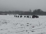 vid-20251127-wa0002-00002