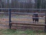 vid-20251208-wa0006-00057