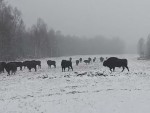 vid-20251210-wa0000-00021