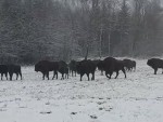 vid-20251210-wa0000-00079