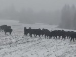 vid-20251210-wa0001-00025
